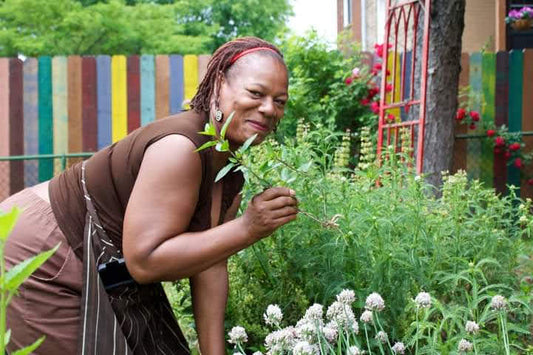 Understanding Botanicals in Soapmaking