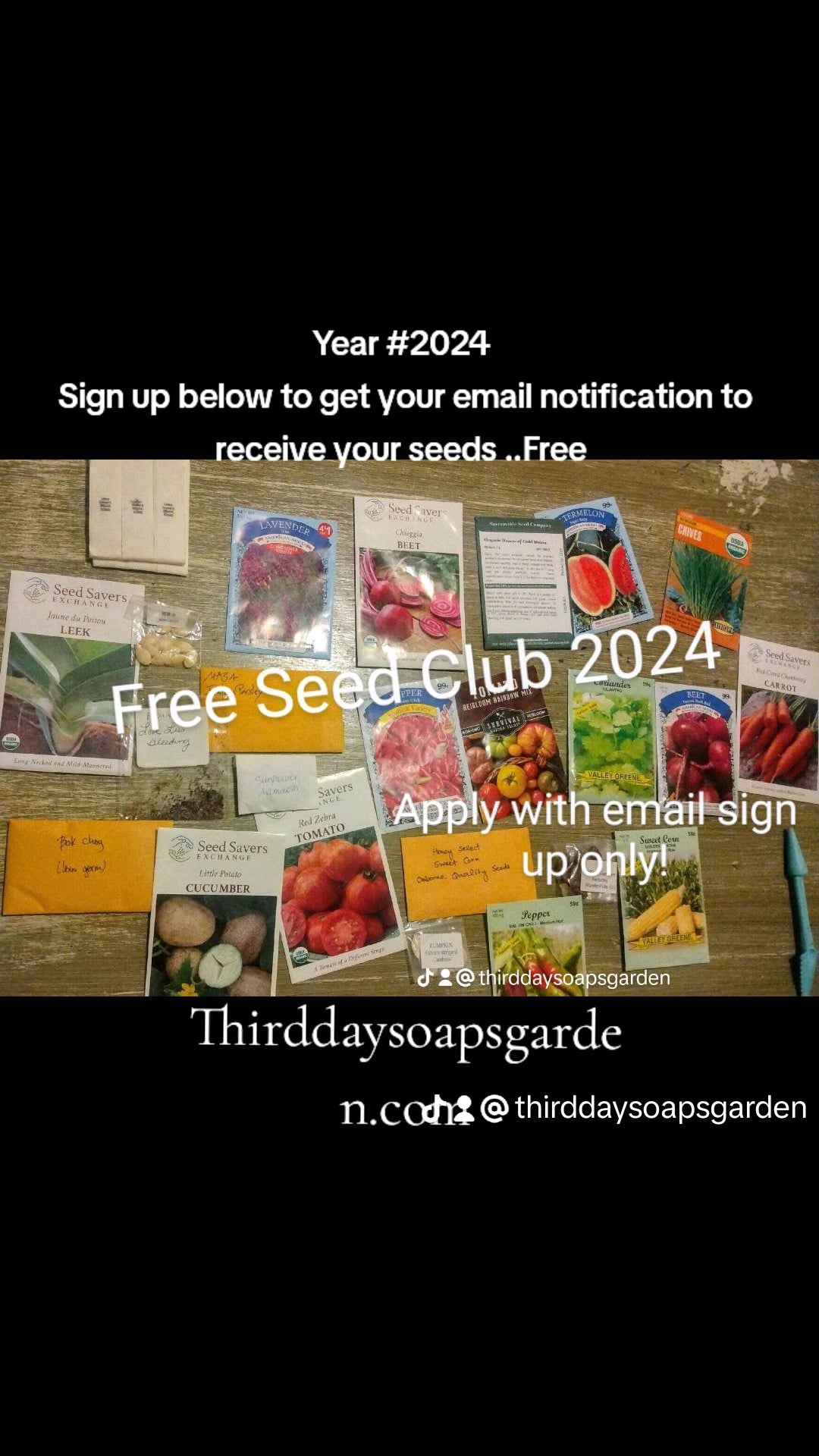free flower seeds by mail 2024 Free April, 2026 Seeds Giveaway! – Third Day Soaps Garden Wellness