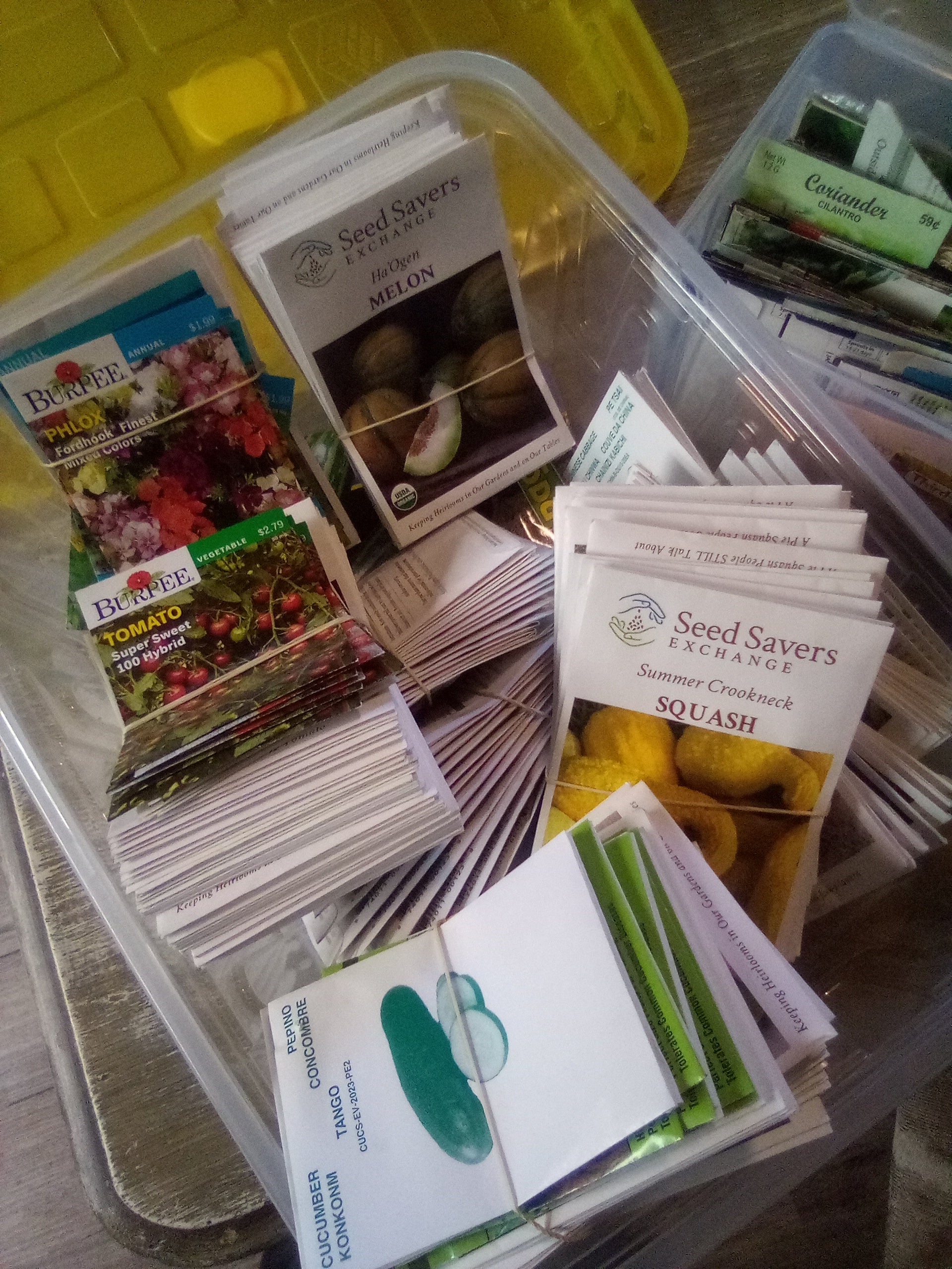 free garden seeds samples by mail 2023 Free April, 2026 Seeds Giveaway! – Third Day Soaps Garden Wellness
