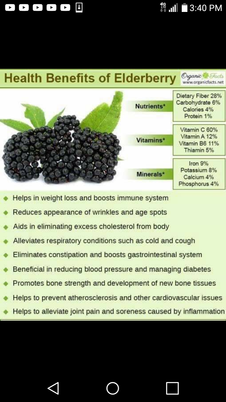 Elderberry Organic Syrup