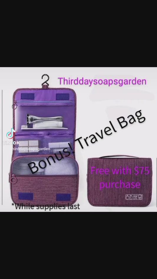 Trendy Bonus Travel Hanging Cosmetic Bag.