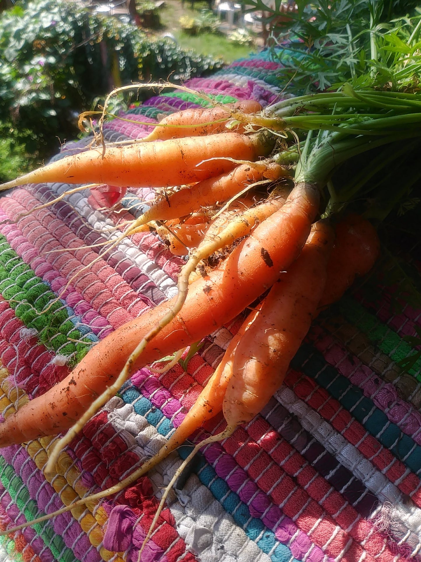 Carrot Soap Complexion Bar